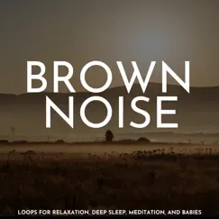 Brown Noise: Loops for Relaxation, Deep Sleep, Meditation, And Babies by SleepTherapy album reviews, ratings, credits