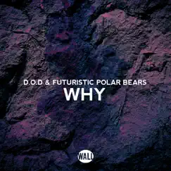 Why - Single by D.O.D & Futuristic Polar Bears album reviews, ratings, credits