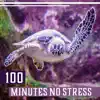 100 Minutes No Stress - Relaxing Music for Natural Stress Relief, Instrumental Background & Soothing Nature Sounds Collection album lyrics, reviews, download