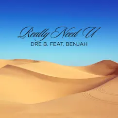 Really Need U (feat. Benjah) - Single by Dre B album reviews, ratings, credits