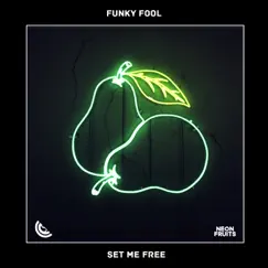 Set Me Free - Single by Funky Fool album reviews, ratings, credits