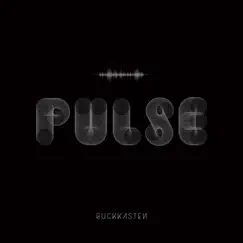 Pulse - Single by Guckkasten album reviews, ratings, credits