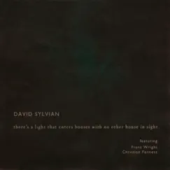 There's a Light That Enters Houses With No Other House In Sight (feat. Franz Wright & Christian Fennesz) by David Sylvian album reviews, ratings, credits