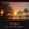Chillout en Barbados – Música Relajante, Sonidos del Chill, Poder Vibes, Vacaciones Zona, Yoga, Spa & Wellness album lyrics, reviews, download