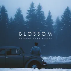 Blossom Song Lyrics