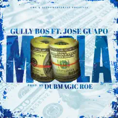 Moola (feat. Jose Guapo) - Single by Gully Bos album reviews, ratings, credits