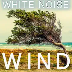 White Noise Steady Wind Song Lyrics