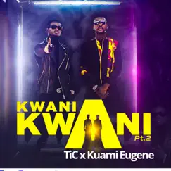 Kwani Kwani, Pt. 2 (feat. Kuami Eugene) Song Lyrics