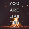 You Are Like Fire (feat. Hooseki) - Single album lyrics, reviews, download