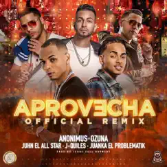 Aprovecha (Remix) [feat. Ozuna, Juanka El Problematik, Juhn El All Star & Justin Quiles] - Single by Anonimus album reviews, ratings, credits