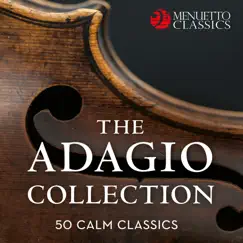 Concerto for Flute, Harp & Orchestra in C Major, K. 299: II. Andantino Song Lyrics