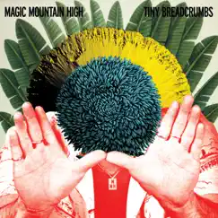 Tiny Breadcrumbs - EP by Magic Mountain High album reviews, ratings, credits