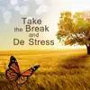 Take the Break and De Stress: Music to Release from Trouble with Sleep, Stress & Anxiety, Posttraumatic Stress Disorder, Dementia album lyrics, reviews, download