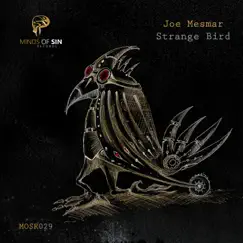 Strange Bird Song Lyrics