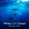 White Calm Ocean: Relaxing Noise for Deep Sleep, Rest, Relaxation album lyrics, reviews, download