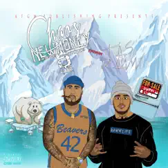 New Freezer (feat. Tas Raww) - Single by Chaos New Money album reviews, ratings, credits