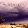 Through the Storm (Instrumental) - Single album lyrics, reviews, download