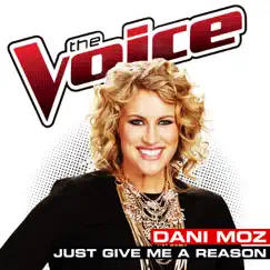 Just Give Me a Reason (The Voice Performance) Song Lyrics