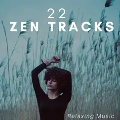 22 Zen Tracks: Relaxing Music for Serene Dreams, Deep Sleep, Stress Relief, Ambient Music Therapy with Nature Sounds by New Age Mood album reviews, ratings, credits