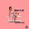 What It Do - Single album lyrics, reviews, download