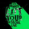 2016 WINNER EXIT TOUR IN SEOUL LIVE album lyrics, reviews, download