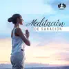 Meditación de Sanación: Música de Yoga, Mente Sana, Cuerpo y Alma, Estrés Extremo y Alivio de la Ansiedad album lyrics, reviews, download