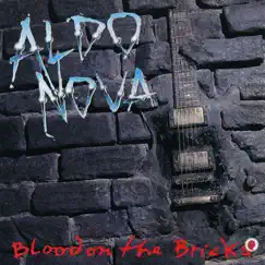 Blood On the Bricks Song Lyrics