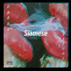 Siamese (feat. Spacely) - Single by DarkoVibes album reviews, ratings, credits