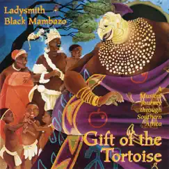 Gift of the Tortoise: A Musical Journey Through Southern Africa by Ladysmith Black Mambazo album reviews, ratings, credits