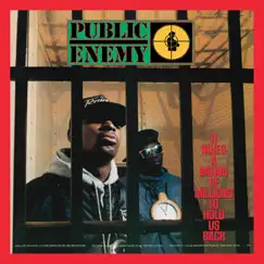 It Takes a Nation of Millions To Hold Us Back (Deluxe Edition) by Public Enemy album reviews, ratings, credits