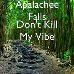 Don't Kill My Vibe - Single by Apalachee Falls album reviews, ratings, credits