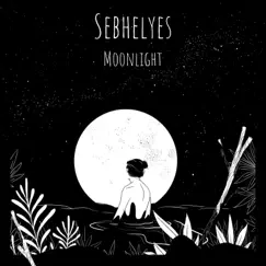 Moonlight - EP by Sebhelyes album reviews, ratings, credits