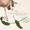 Simple and Sure - Single album lyrics, reviews, download