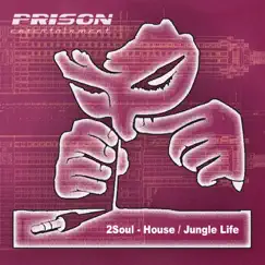 House / Jungle Life - Single by 2SOUL album reviews, ratings, credits