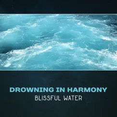 Drowning in Harmony: Blissful Water by Soothing Ocean Waves Universe album reviews, ratings, credits