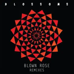 Blown Rose (Alan Braxe Remix) Song Lyrics