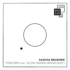 Forlorn (feat. Slow Hands) [Radio Edit] Song Lyrics