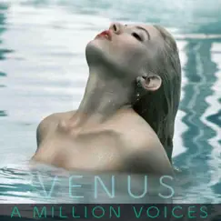 A Million Voices Song Lyrics