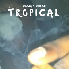 Tropical - Single by Cosmic Chesh & 4ceen album reviews, ratings, credits
