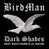 Dark Shades (feat. Lil Wayne & Mack Maine) - Single album lyrics, reviews, download