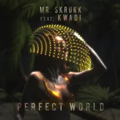 Perfect World (feat. KWADI) - Single by Mr. Skrukk album reviews, ratings, credits