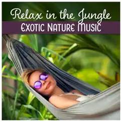 Relax in the Jungle - Exotic Nature Music for Meditation, Rest, Yoga by Relaxing Nature Sounds Collection album reviews, ratings, credits
