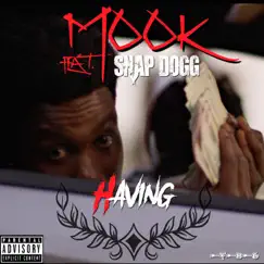 Having (feat. Snap Dogg) - Single by Mook TBG album reviews, ratings, credits