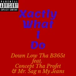 Xactly What I Do (feat. Concept Tha Profet & Mr. Sag N My Jeans) - Single by Down LOW THA B365t album reviews, ratings, credits