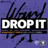 Drop It (feat. Ward 21) [Aries & Kelvin 373 Remix] - Single album lyrics, reviews, download