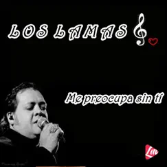 Me Preocupa Sin Tí - Single by Los Lamas album reviews, ratings, credits
