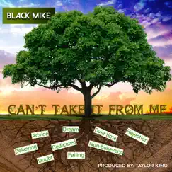 Can't Take It from Me - Single by Black Mike album reviews, ratings, credits