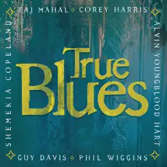 True Blues by Various Artists album reviews, ratings, credits