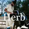 The Herb - Single album lyrics, reviews, download