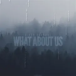 What About Us (Acoustic Chillout Version) Song Lyrics